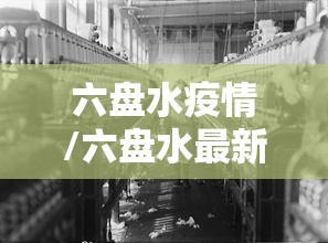 六盘水疫情/六盘水最新消息今天